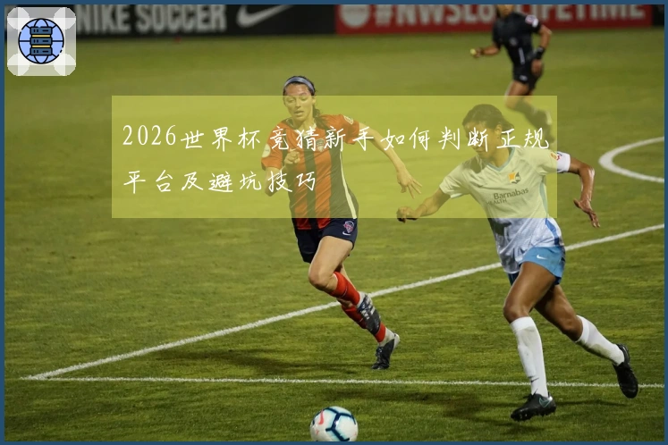2026世界杯竞猜新手如何判断正规平台及避坑技巧