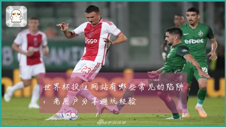世界杯投注网站有哪些常见的陷阱，老用户分享避坑经验