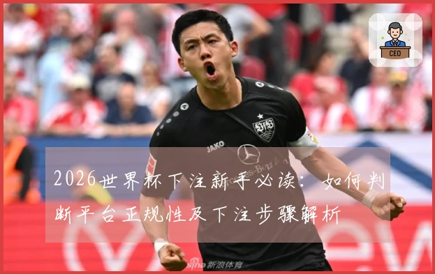 2026世界杯下注新手必读：如何判断平台正规性及下注步骤解析