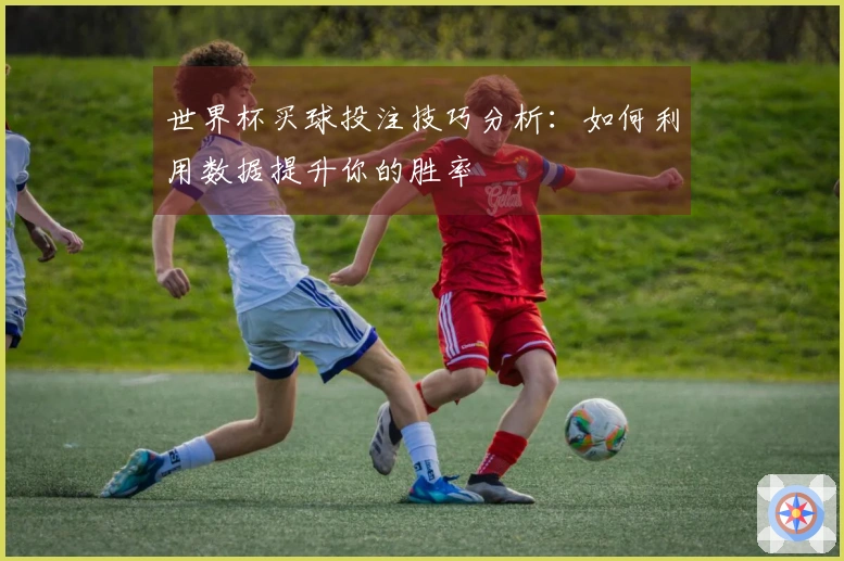 世界杯买球投注技巧分析：如何利用数据提升你的胜率