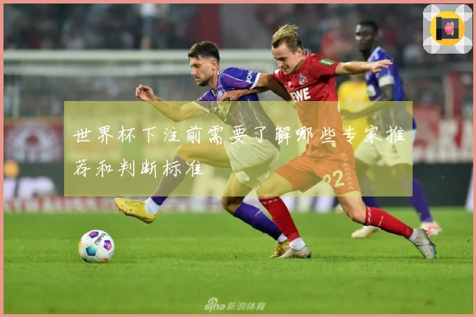 世界杯下注前需要了解哪些专家推荐和判断标准
