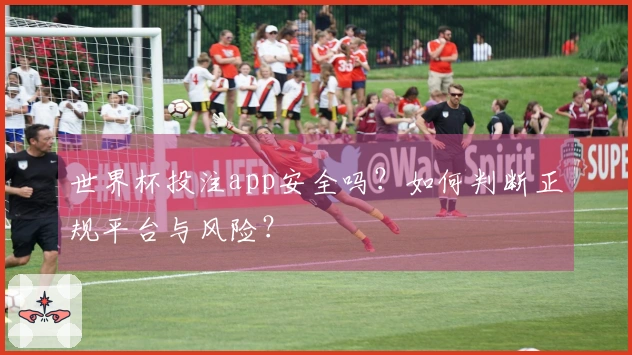 世界杯投注app安全吗？如何判断正规平台与风险？