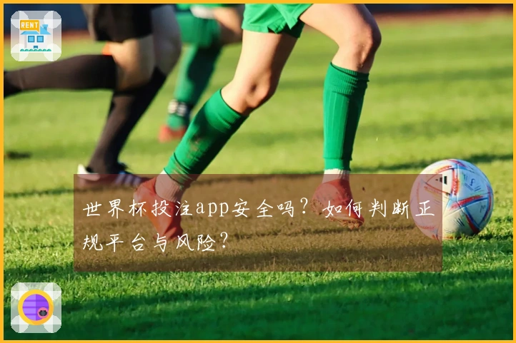 世界杯投注app安全吗？如何判断正规平台与风险？