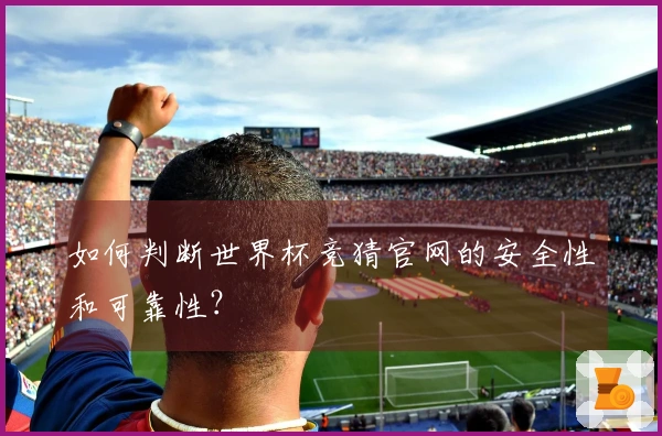 如何判断世界杯竞猜官网的安全性和可靠性？