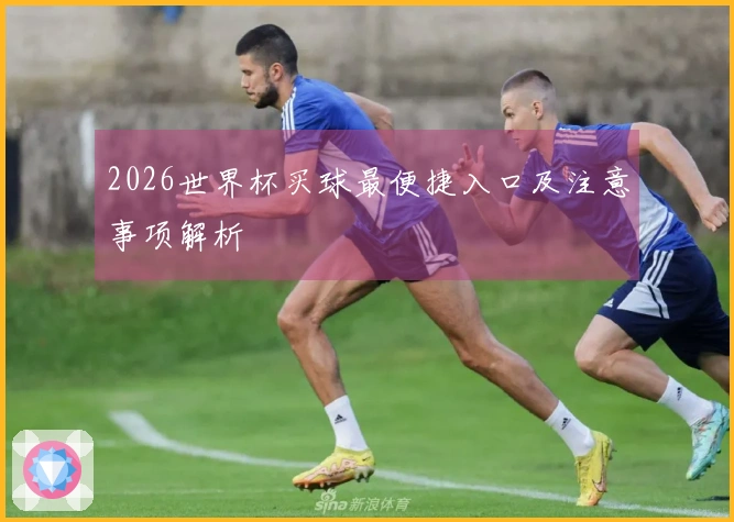 2026世界杯买球最便捷入口及注意事项解析