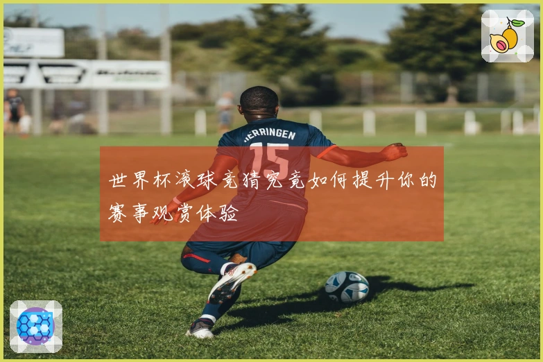 世界杯滚球竞猜究竟如何提升你的赛事观赏体验