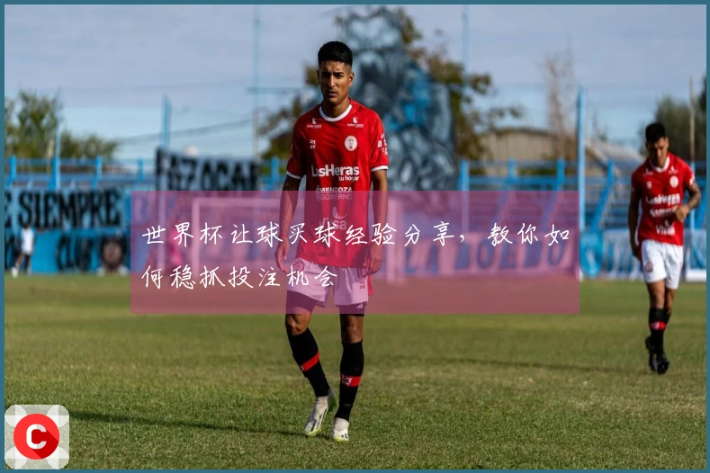 世界杯让球买球经验分享，教你如何稳抓投注机会